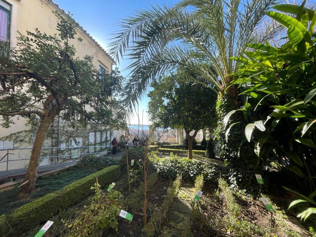 萨莱诺Casa Portanova 35公寓 外观 照片